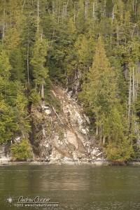 Landslide Scar